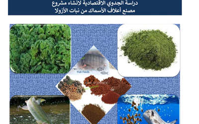 Zubair Enterprise Development Centre Completes Feasibility Study for Innovative Fish Feed Project Using Azolla